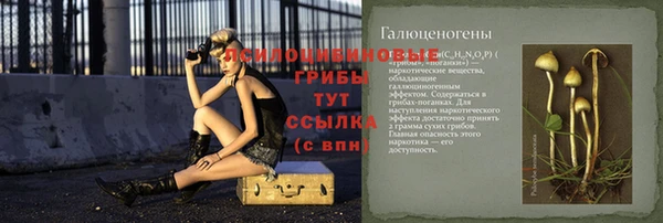прущие грибы Нефтекумск