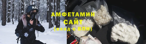 прущие грибы Новозыбков