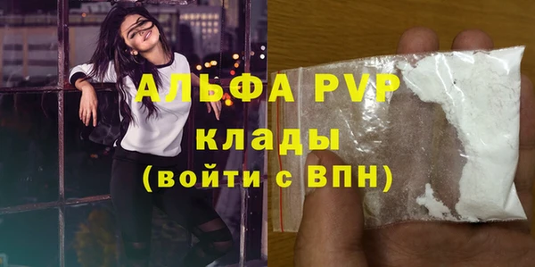 прущие грибы Новозыбков