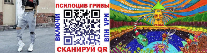 Галлюциногенные грибы Magic Shrooms  цены наркотик  Полесск 